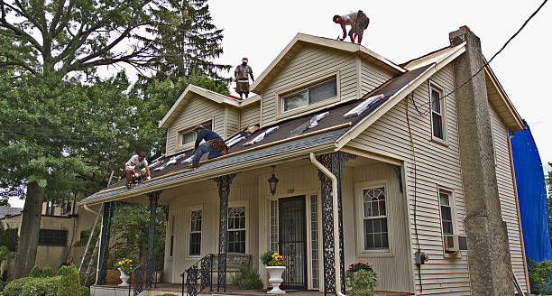 Best Gutter Installation and Roofing  in Timberlake, VA